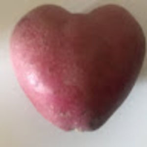 Meet your Posher, Renae